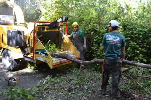 tree services Monona